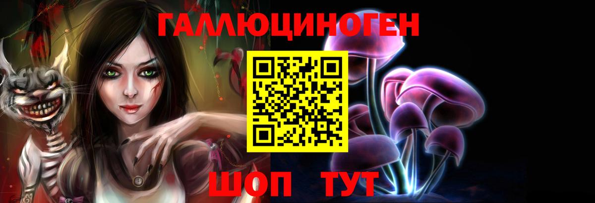 Ялта  Псилоцибиновые грибы Cubensis  Вход с VPN 