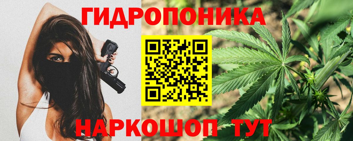 Каннабис OG Kush Ялта